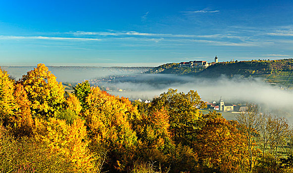 风景,城堡,秋天,晨雾,山谷,布尔根兰,地区,萨克森安哈尔特,德国,欧洲
