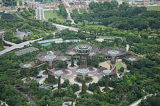 花园城市新加坡