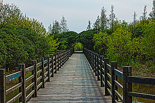 上海宝山炮台湾湿地公园风光