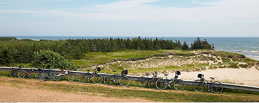 自行车,栅栏,爱德华王子岛,加拿大