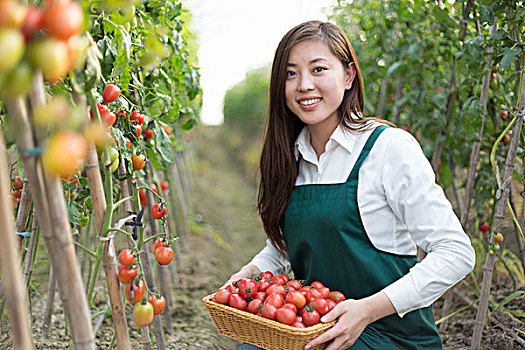 年轻,美女,中国人,女人,绿色,地点