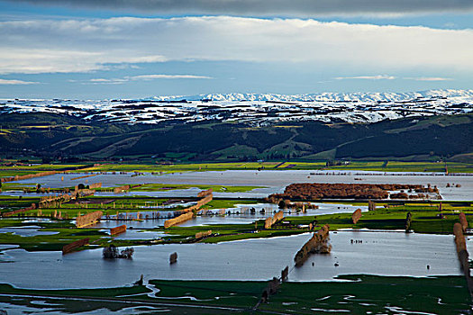 洪水,农田,雪,靠近,南岛,新西兰
