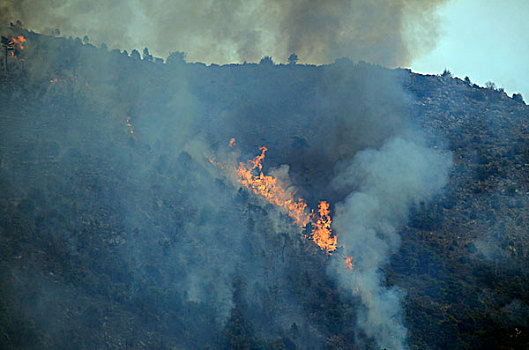 森林火灾,阿尔卑斯山,法国,欧洲
