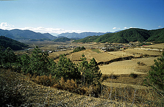 云南省维西县攀天阁乡高海拔水稻种植区