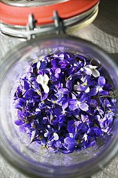 紫罗兰,食用花卉,罐头瓶