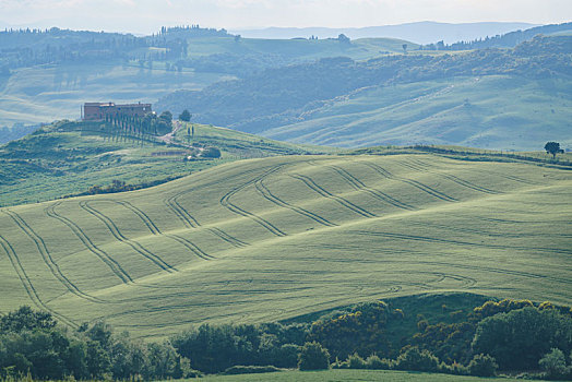 意大利托斯卡纳田园风光和起伏的山丘草坪