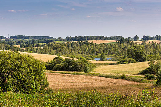 风景,公园,波兰