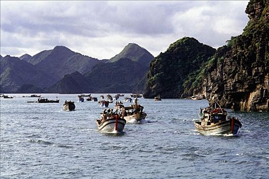 越南,下龙湾,岛屿,打渔船队,出海