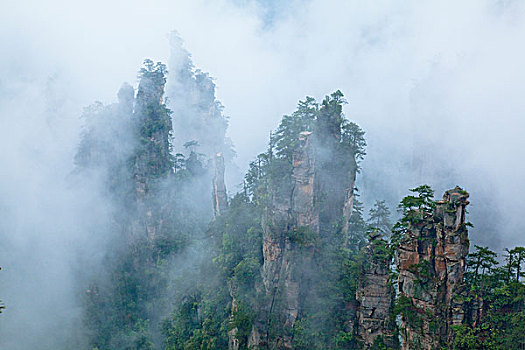 景色,区域,国家森林,公园,湖南,中国