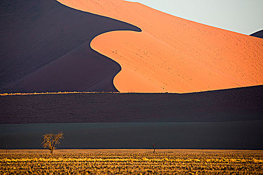 纳米布沙漠,沙丘,纳米比亚,非洲