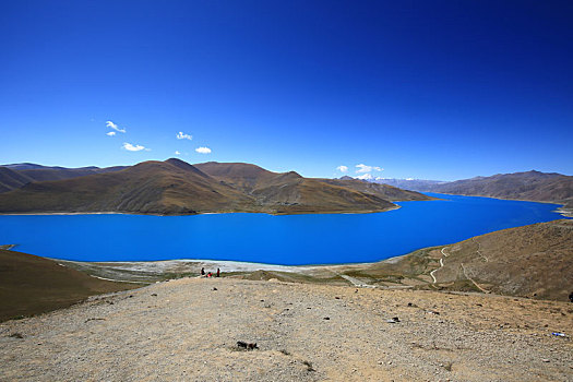 西藏,羊卓雍措,羊湖