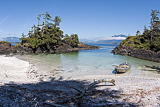 岛屿,格里夸湾,温哥华岛,不列颠哥伦比亚省,加拿大