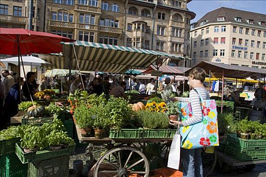 顾客,市场货摊,药草,市场,马尔克特广场,巴塞尔,瑞士