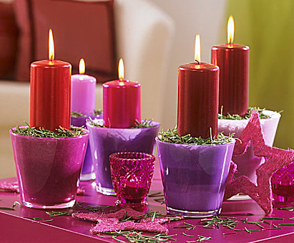蜡烛,冷杉,针,粉色,紫色