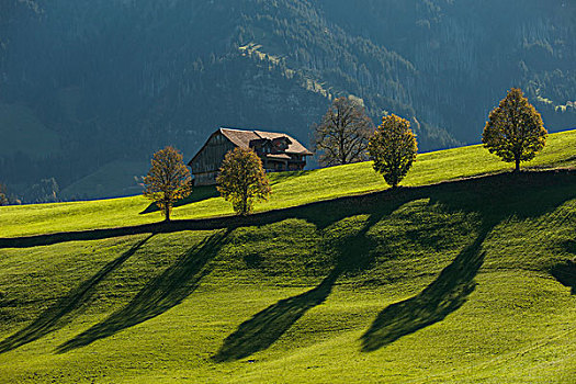 秋天,生物圈,entlebuch