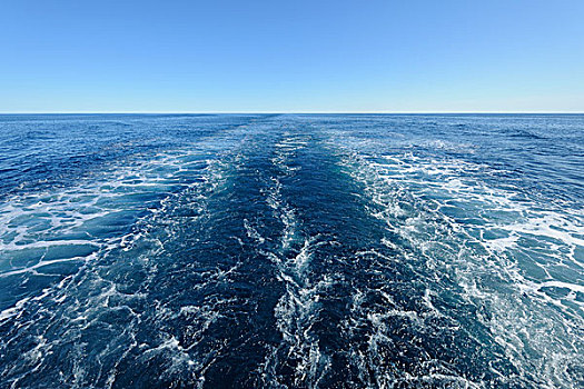 水,小路,游船,格陵兰,海洋,北冰洋,北极