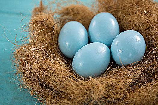 蓝色,复活节彩蛋,鸟窝,特写,木质背景