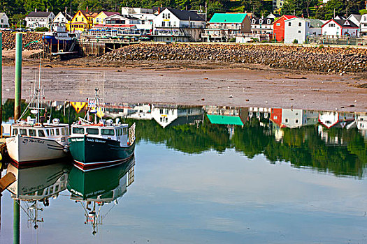 渔船,捆绑,码头,新斯科舍省,加拿大