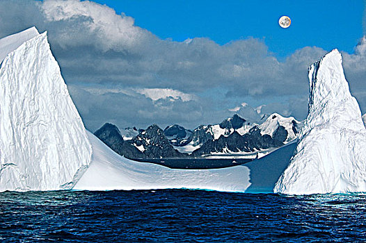 南极,冰山,南,奥克尼群岛