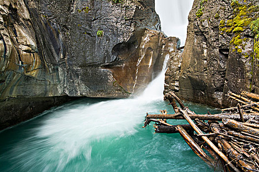 瀑布,溪流,峡谷,班芙国家公园,艾伯塔省,加拿大