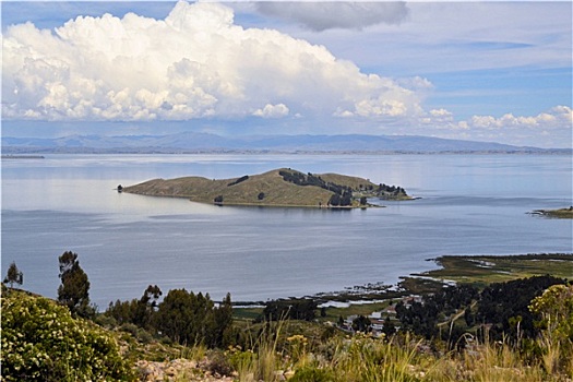 的的喀喀,湖,玻利维亚