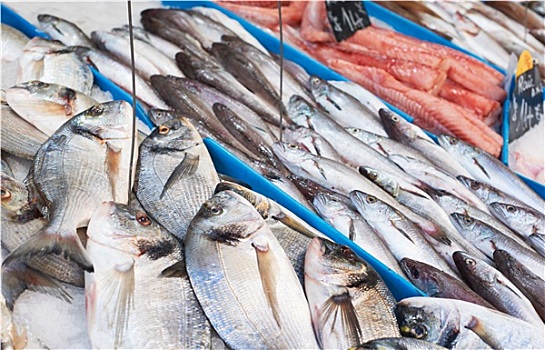 鲜鱼,市场,法国