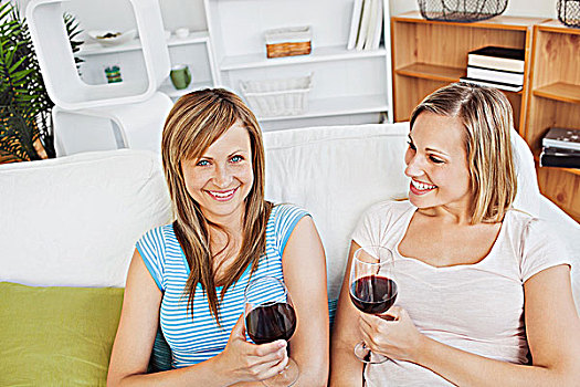 魅力,朋友,喝,葡萄酒,客厅