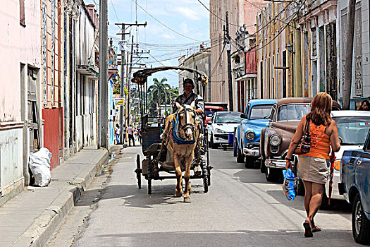 马,四轮马车,城市街道,普通,运输,古巴,圣克拉拉,北美