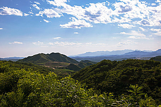 长满绿色植物的青山