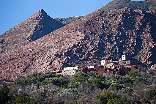乡村,清真寺,阿特拉斯山脉,摩洛哥