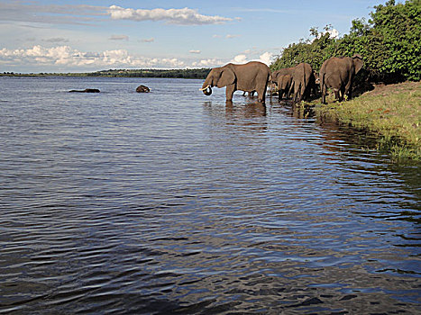 非洲博茨瓦纳风景