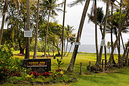 标识,棕榈树,公园,夏威夷,美国