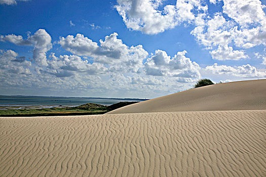 风,沙丘,清单,逆光,泥滩