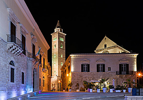 夜景,罗马式,大教堂,11世纪,广场,阿普利亚区,意大利,省