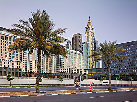 街道,迪拜,阿联酋