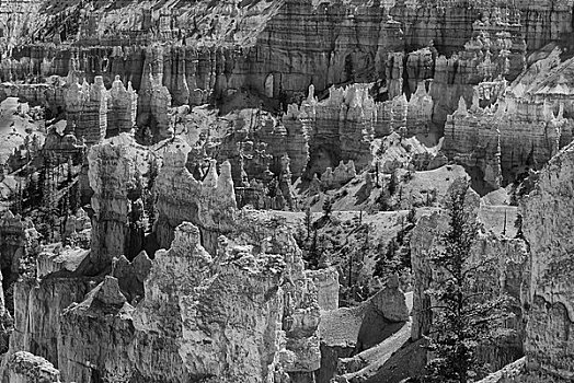 美国,犹他,布莱斯峡谷国家公园,花园,怪岩柱,岩石构造