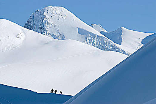 滑雪者,就绪,滑雪,山,狐狸,背景,冰川国家公园,不列颠哥伦比亚省,加拿大