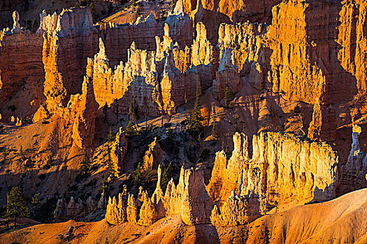 彩色,沙岩构造,布莱斯峡谷国家公园,黄昏,犹他,美国