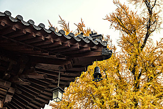 古观音禅寺