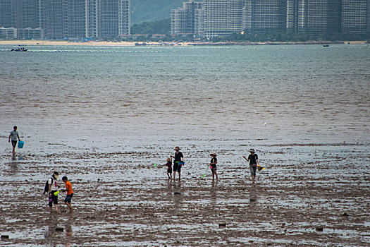 海边景色