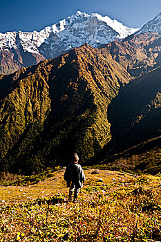 男人,走,山坡,攀升,尼泊尔
