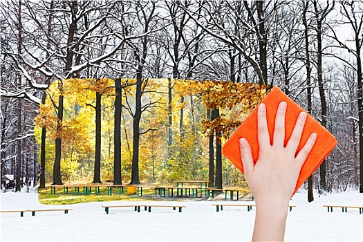 手,冬天,城市公园,橙色,布
