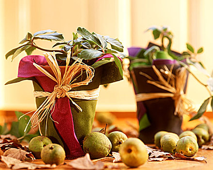 秋天,桌饰,花盆,小,梨