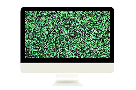 电脑显示器,青草,显示屏,隔绝,白色背景