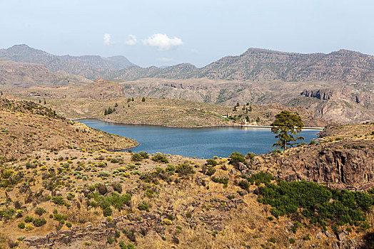 湖,小,水库,国家公园,大卡纳利岛,加纳利群岛,西班牙,欧洲