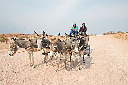 驴,手推车,土路,达马拉兰,纳米比亚,非洲