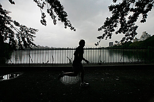 男人,跑,水库,中央公园,纽约