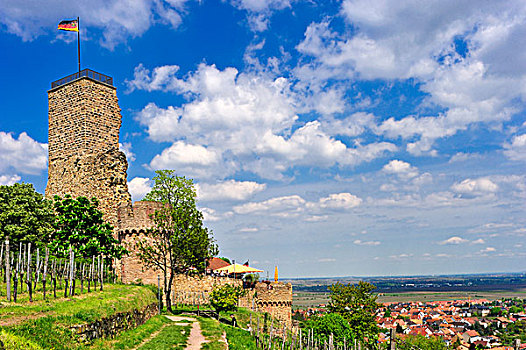 城堡,围绕,葡萄园,远眺,莱茵河,山谷,自然保护区,莱茵兰普法尔茨州,德国,欧洲