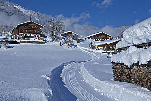 奥地利,提洛尔,冬季风景