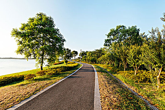 道路